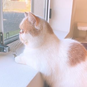 Meet your Posher, Parisa